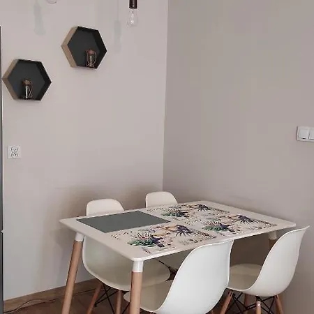 Apartament Tuwima Park 厄尔科